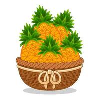 ananas frukt i korg vektor illustration