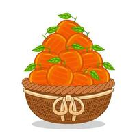 orange frukt i korg vektor illustration