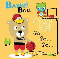 Bär spielen Basketball mit Eule komisch Tier Karikatur vektor