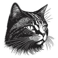 Katze Gesicht Logo, Katze Gesicht Vektor, Katze Gesicht skizzieren isoliert auf Weiß Hintergrund vektor