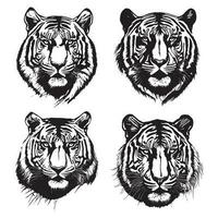 Tiger Kopf Vektor, Tiger Gesicht Logo, Tiger skizzieren Silhouette isoliert auf Weiß Hintergrund vektor