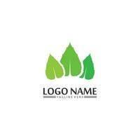 Baumblattvektor und grünes Logo entwerfen freundliches Konzept vektor