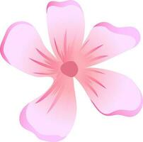 vektor illustration av rosa blomma på vit bakgrund.