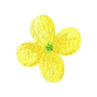 vild gul blomma skog vattenfärg ClipArt vektor