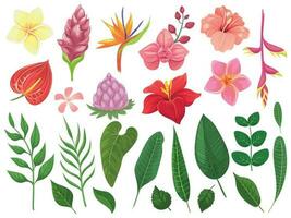 tropisch Blumen. Tropen Blume Blätter, Sommer- Blatt auf Ast und tropisch wild Pflanzen Blätter Vektor Illustration einstellen