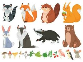 komisch Holz Tiere. wild Wald Tier, glücklich Wald Fuchs und süß Eichhörnchen Vektor Karikatur Illustration einstellen