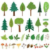 skog träd. skog träd, vild bär växter och svamp. skogar blommig element vektor uppsättning