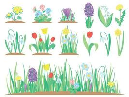 Frühling Blumen. Garten Tulpe Blume, früh Blumen- Pflanzen und Tulpen Pflanze Gartenarbeit isoliert Vektor einstellen