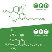 thc och cbd formel. cannabidiol och tetrahydrocannabinol molekyl strukturera förening. medicinsk marijuana molekyler vektor illustration