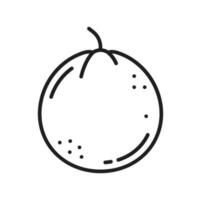 persika hela frukt isolerat plommon aprikos bär ikon vektor