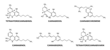 cannabinoid molekyl strukturera, kemisk formel vektor