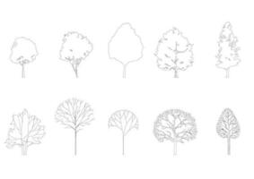 Baum Linie Zeichnung, Seite Sicht, Grafik Bäume Elemente Single Objekt Gliederung minimal Pflanze Symbol zum die Architektur und Landschaft Design. Vektor Illustration im Schlaganfall füllen im Weiß. Wald, tropisch.