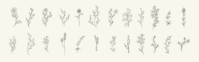 groß bündeln von Blumen- Hand gezeichnet Illustration. Sammlung von Jahrgang wild Blume Element vektor