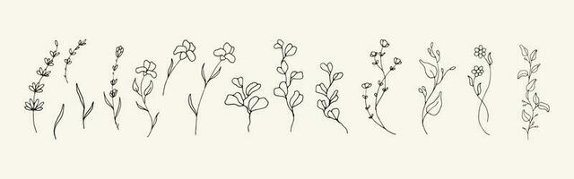 bündeln von minimalistisch Blumen- Hand gezeichnet Illustration vektor