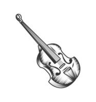 Violine Jazz Musical Instrument vektor