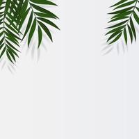 abstrakter realistischer grüner Palmblatt tropischer Hintergrund vektor