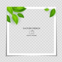 naturlig bakgrundsram för fotoram med gröna blad för inlägg i sociala nätverk vektor