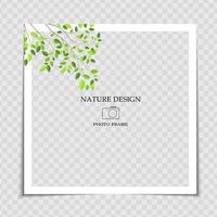 natürliche Hintergrund-Fotorahmenschablone mit grünen Blättern für Beitrag im sozialen Netzwerk vektor