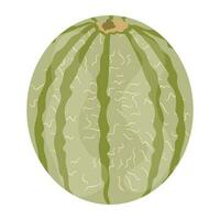 wässrig und saftig Sommer- Obst im runden gestalten abbilden Wassermelone vektor