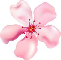 glänzend Kirsche oder Sakura Blume Element im Rosa Farbe. vektor