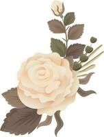 schön Rose Blume mit Blätter auf Weiß Hintergrund. vektor