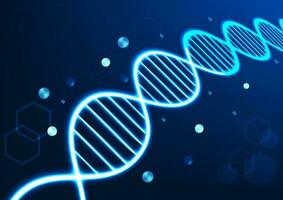 DNA molekular Struktur Technologie Hintergrund zeigt an das Verbindung von das DNA Struktur zum Information benutzt im Medizin geeignet zum Poster Arbeit und Arbeit verbunden zu Wissenschaft vektor