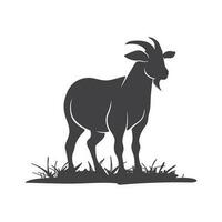 Ziege Vektor Symbol Silhouette. Ziege Seite Aussicht im das Gras. Bauernhof Ziege Tier Logo Design. Vektor Illustration. Vektor Illustration