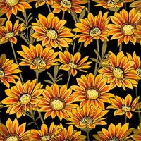 nahtlos Muster mit Gelb und rot Gazania Blume. botanisch Gaillardia Blume Illustration auf schwarz Hintergrund vektor