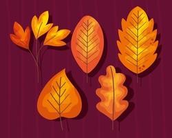fünf Herbstblätter vektor
