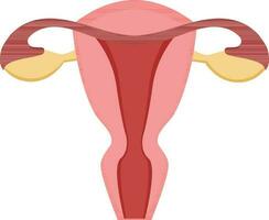 isolerat kvinna reproduktiv systemet ikon i platt stil. vektor