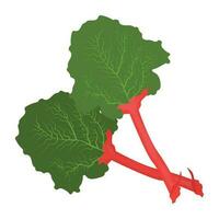 grön blad och röd pedicel, en grafisk för mangold vegetabiliska ikon vektor