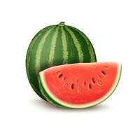 realistisch detailliert 3d ganze Wassermelone und Scheibe Satz. Vektor