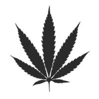 Cannabisblatt schwarz auf weißem Hintergrund vektor