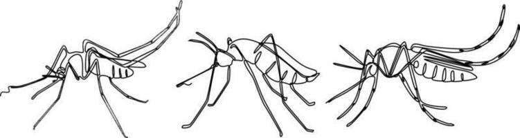 mygga kontinuerlig linje uppsättning illustration vektor