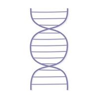 genetische DNA-Struktur vektor