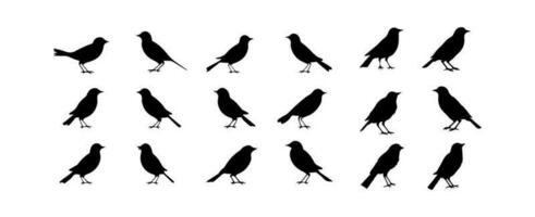 Vögel Silhouetten. schwarz Vogel Gliederung Formen isoliert auf Weiß Hintergrund. Vektor Illustration