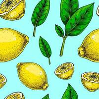 Zitrone nahtlos Muster. bunt Hand gezeichnet Vektor Illustration im skizzieren Stil. tropisch exotisch Zitrusfrüchte Obst Sommer- Hintergrund
