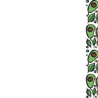 Avocado Hintergrund mit Platz zum Text. gezeichnet Avocado Illustration vektor