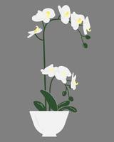 Orchidee in einer Vase trendigen Vektorstrauß flachen Stil vektor