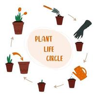 Pflanzenleben Kreis Gartenkonzept Pflege für Zimmerpflanzen, wie man eine Pflanze züchtet vektor