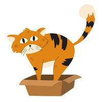 katt i de låda. söt rolig katt karaktär med låda. inhemsk djur, sällskapsdjur. vektor flyta tecknad serie karaktär isolerat illustration