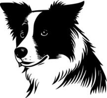 gräns collie, svart och vit vektor illustration