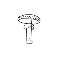 svamp, bra design för några syften. klotter vektor illustration. ätlig svamp och paddsvampar. friska mat illustration. höst skog växter skisser för textilier, tapet, färg