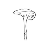 svamp, bra design för några syften. klotter vektor illustration. ätlig svamp och paddsvampar. friska mat illustration. höst skog växter skisser för textilier, tapet, färg