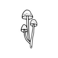 Pilz, großartig Design zum irgendein Zwecke. Gekritzel Vektor Illustration. essbar Pilze und Giftpilze. gesund Essen Illustration. Herbst Wald Pflanzen Skizzen zum Textilien, Hintergrund, Färbung