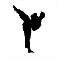 Karate trete und posiert von Karate Techniken. kriegerisch Künste. diese Vektor illustriert mehrere posiert von Karate Techniken im Silhouette Vektor Illustration.