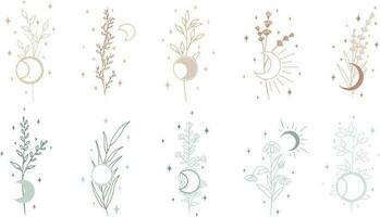 samling av annorlunda växter med stjärnor och måne, minimalistisk vektor konst