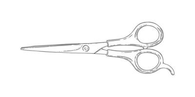 sax skiss. frisör sax verktyg. vektor illustration