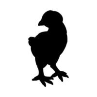 Henne oder Hähnchen Silhouette isoliert im Weiß Hintergrund. kostenlos Weiden lassen Henne Vogel im das runch vektor