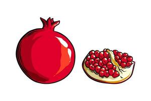 granatäpple frukt sida se. färgad exotisk granatäpple frukt. vektor illustration